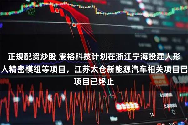 正规配资炒股 震裕科技计划在浙江宁海投建人形机器人精密模组等项目,江苏太仓新能源汽车相关项目已终止