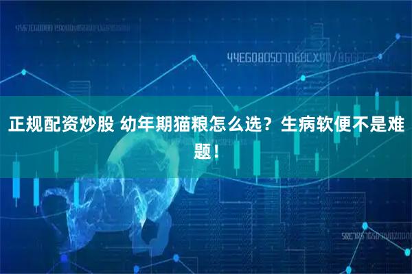 正规配资炒股 幼年期猫粮怎么选？生病软便不是难题！