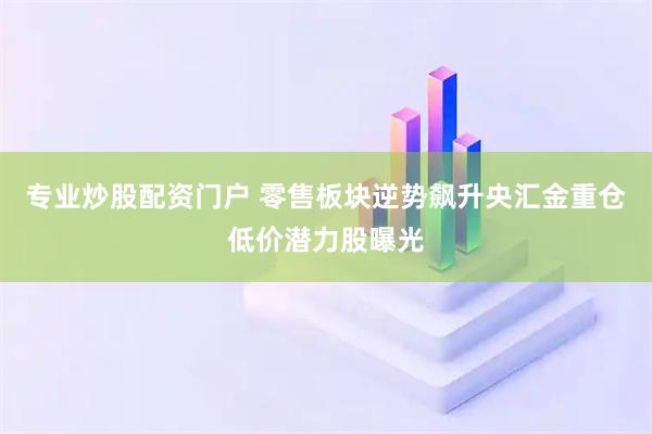 专业炒股配资门户 零售板块逆势飙升央汇金重仓低价潜力股曝光