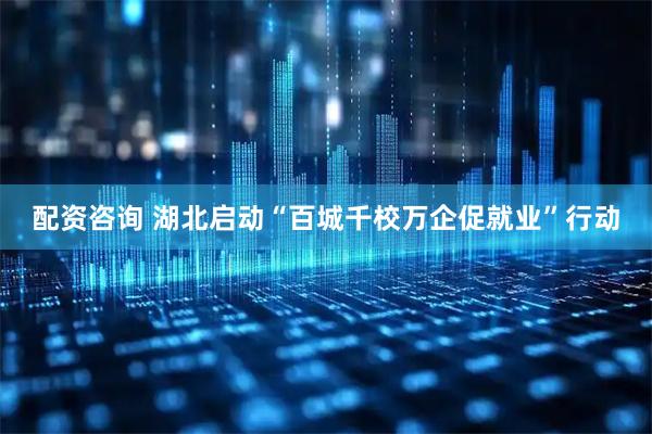 配资咨询 湖北启动“百城千校万企促就业”行动